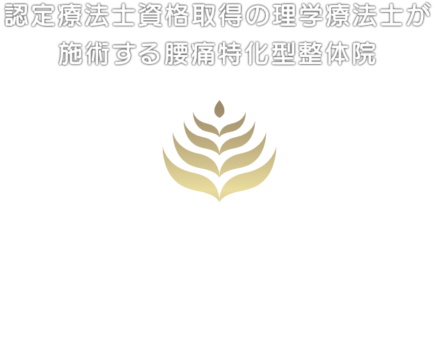 認定療法士資格取得の理学療法士が施術する、腰痛特化型整体院